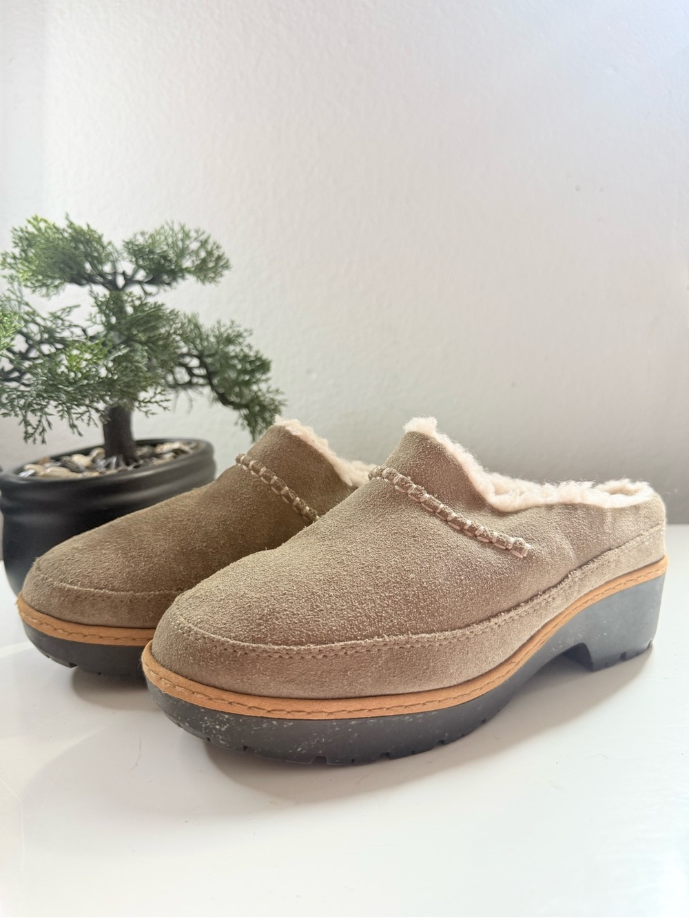 UGG Lynnwood women size 6 Tan Suede Shearling-Lined Clog Mules